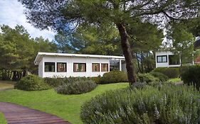 Ethra Reserve Alborèa